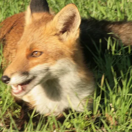 Villa Promesse De Reussies