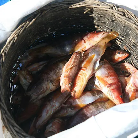 Villa Promesse De Reussies Calcatoggio (Corsica)