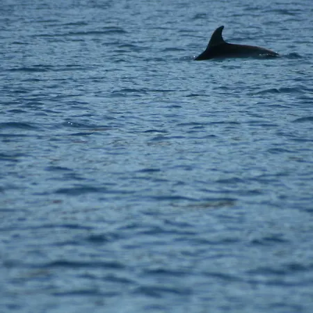 Promesse De Reussies Villa *