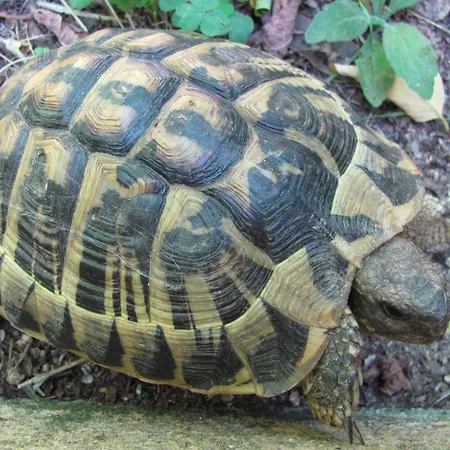 Promesse De Reussies Villa *