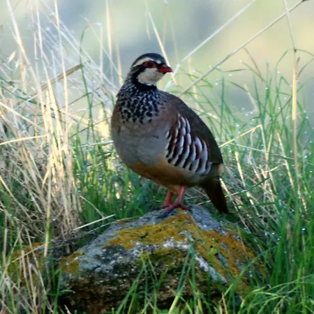 Promesse De Reussies Villa *