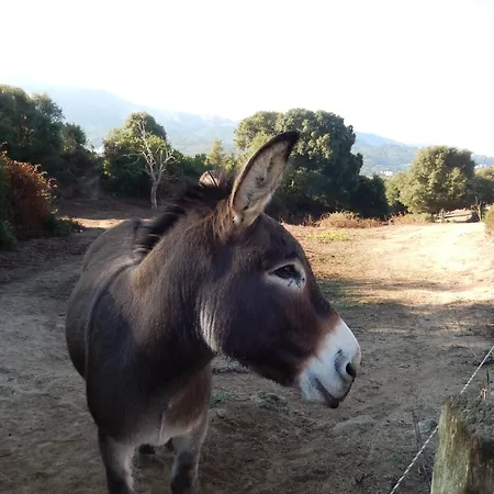 Promesse De Reussies