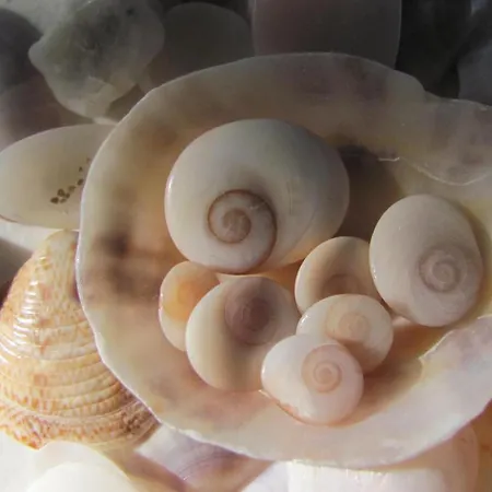 Promesse De Reussies Villa