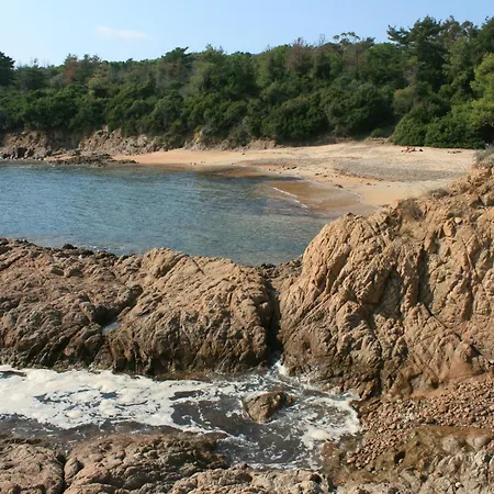 Promesse De Reussies Calcatoggio (Corsica)