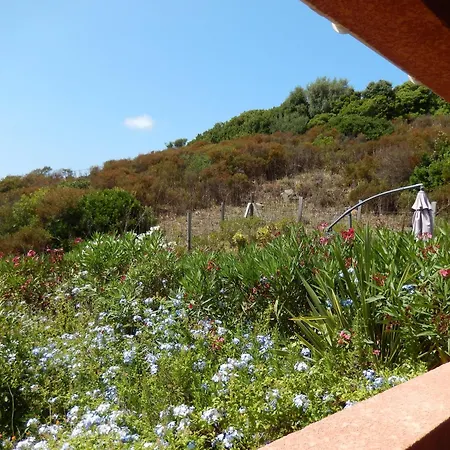 Villa Promesse De Reussies Calcatoggio (Corsica)