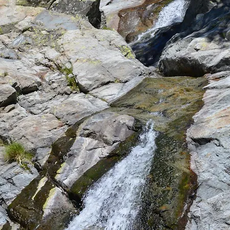 Promesse De Reussies Villa Calcatoggio (Corsica)