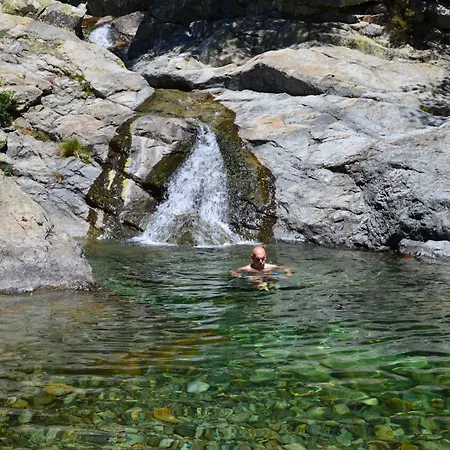 Promesse De Reussies Calcatoggio (Corsica)