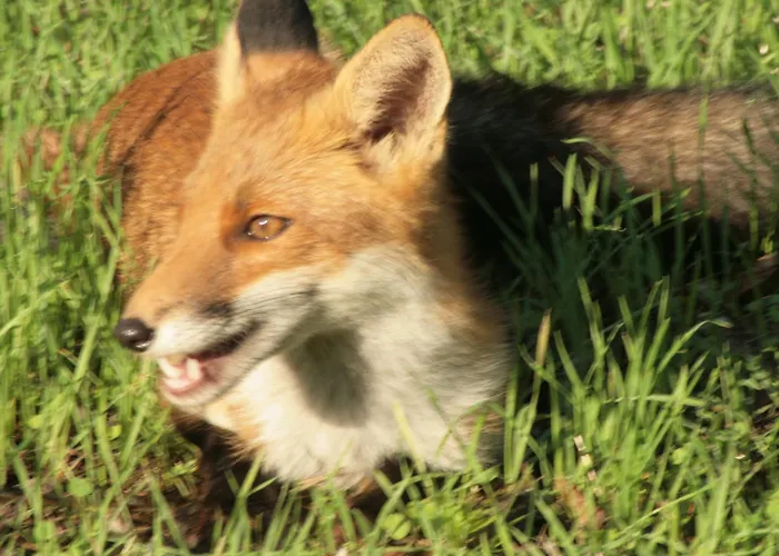 Villa Promesse De Reussies