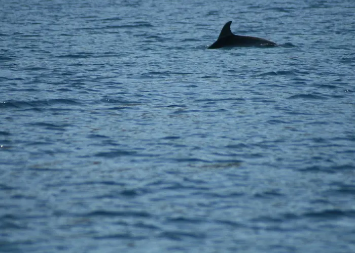 Promesse De Reussies Villa *