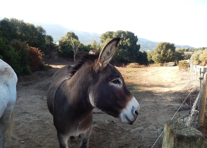 Promesse De Réussies