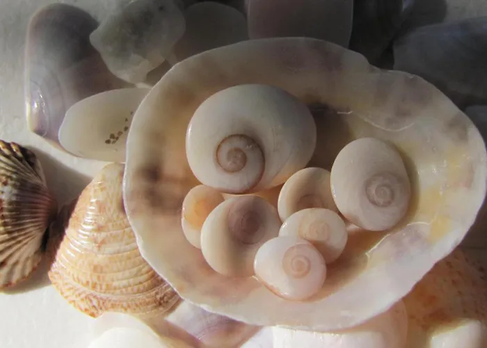 Promesse De Réussies Villa