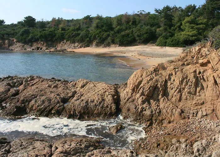 Promesse De Reussies Calcatoggio (Corsica)