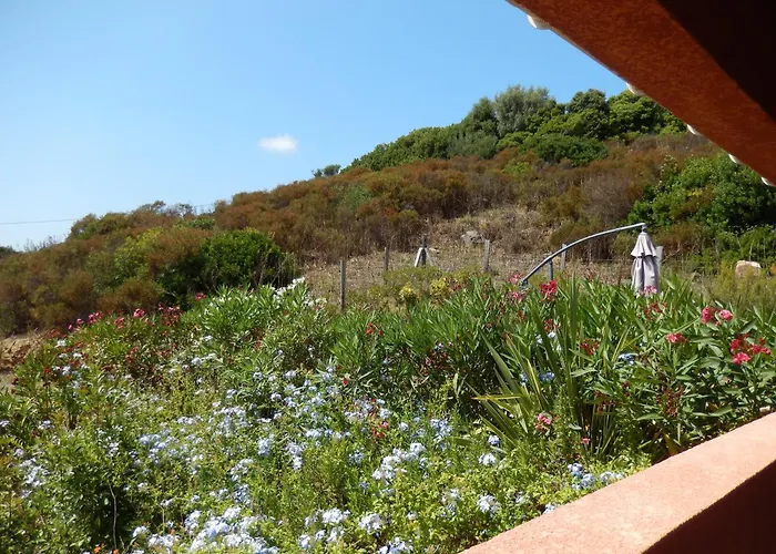 Villa Promesse De Reussies Calcatoggio (Corsica)