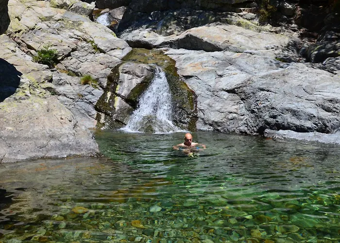 Promesse De Reussies Calcatoggio (Corsica)